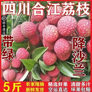 包邮正宗四川泸州合江荔枝新鲜大红袍荔枝妃子笑荔枝现摘发货