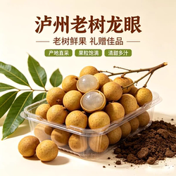 泸州桂圆新鲜老品种老树现摘现发四川特产泸县水果宝石龙眼顺丰