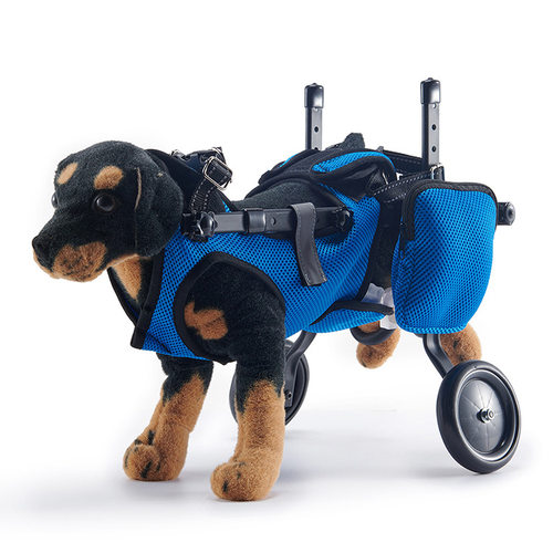 狗轮椅宠物后肢残疾瘫痪康复轮椅小型犬车动物辅助支架四轮代步车 - 封面