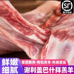 正宗新疆塔城绵羊肉谢利盖巴什拜羔羊排草原新鲜羊腿生鲜烧烤食材