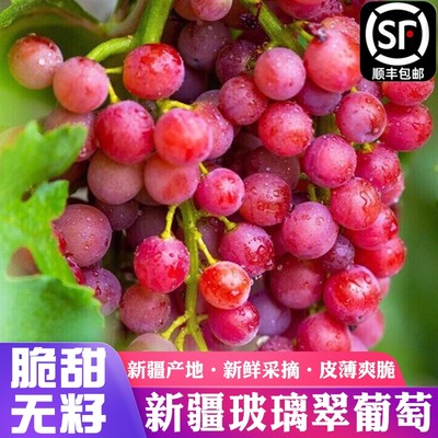 新疆火焰无核玻璃翠葡萄无籽脆甜