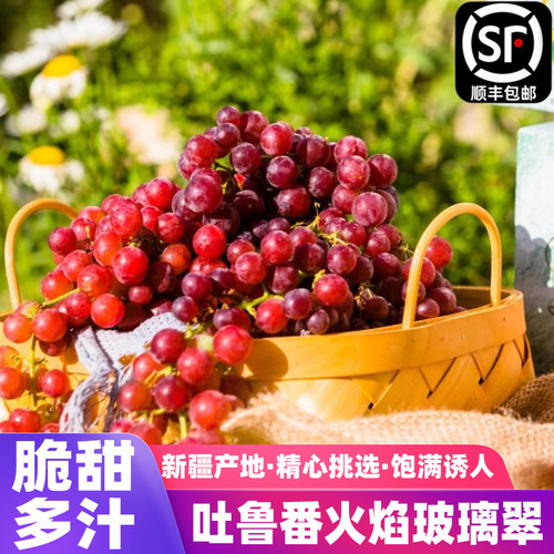 新疆吐鲁番火焰玻璃翠无核葡萄
