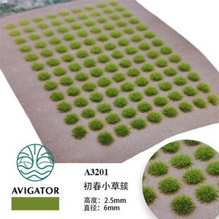 【AVIGATOR草簇/草丛】2.5MM微缩模型草免胶场景制作沙盘材料