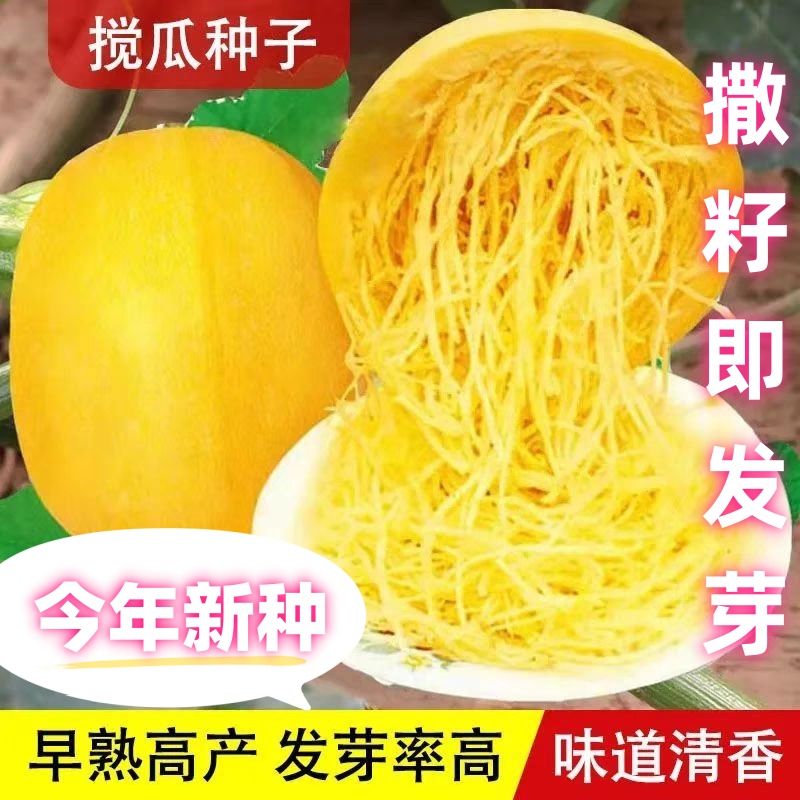 金丝搅瓜种子角瓜种丝瓜粉丝绞瓜蔬菜孑浇瓜种籽黄金瓜西葫芦南瓜