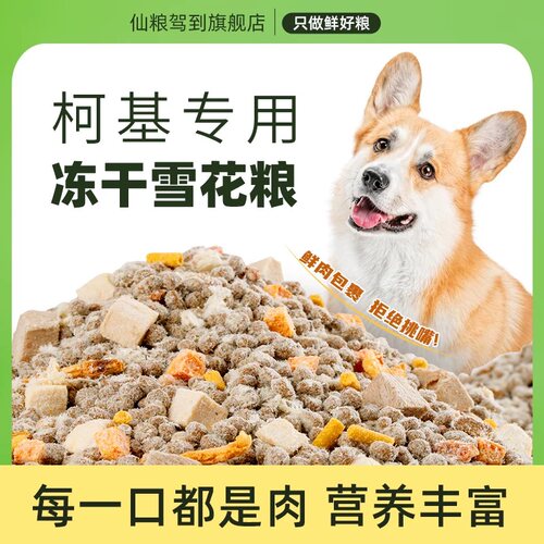 柯基多拼冻干狗粮肥臀成幼犬