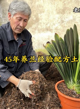 君子兰专用土兰花营养土植料腐叶炭粒松针老张头养兰配方土5.2斤