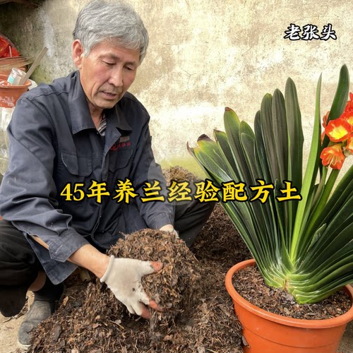 君子兰专用土兰花营养土植料腐叶炭粒松针老张头养兰配方土5.2斤