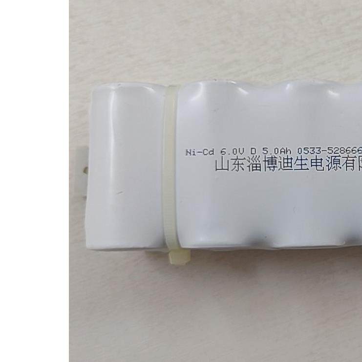 淄博迪生Ni-Cd 6.0V D 5.0Ah应急灯1号充电电池组