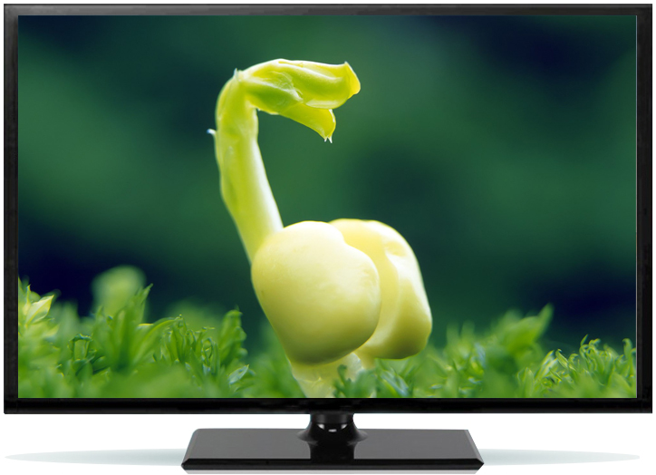 24 Inch monitor 17 inch 19 inch 22 liquid crystal curved surface screen 20 Computer Desktop hdmi Non-used 27 inchin the Computer Hardware/Monitor/Computer Peripherals , Monitor  category - from Buy2taobao.com to provide professional Taobao agent buy service