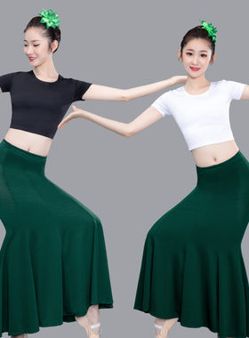 傣族服装练习裙成人女半身舞蹈表演出服艺考练功裙弹力孔雀鱼尾裙