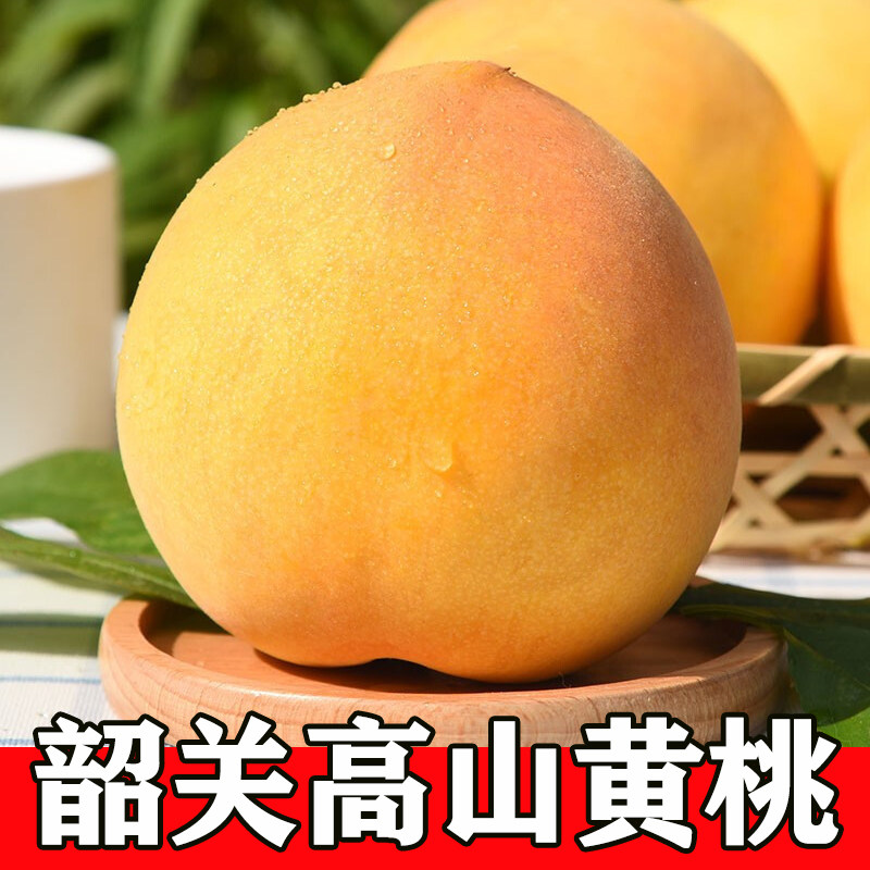 韶关高山新鲜黄桃脆甜包邮