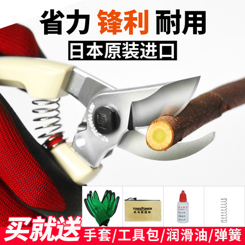 进口修枝剪刀花木果树园艺