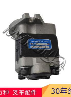 叉车配件134A7-10301齿轮油泵总成适用于TCM叉车4JG2发动机