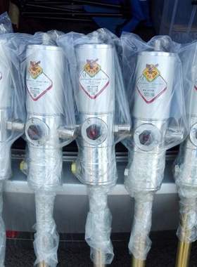 RAASM气动黄油泵36096 62048 62074