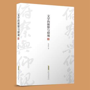 文学的俯察与仰观 钱念孙 安徽文艺出版社 正版书籍 文学理论/文学评论与研究
