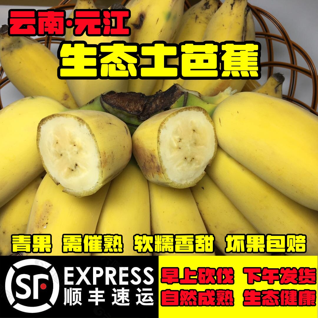 云南元江热谷土芭蕉新鲜顺丰包邮