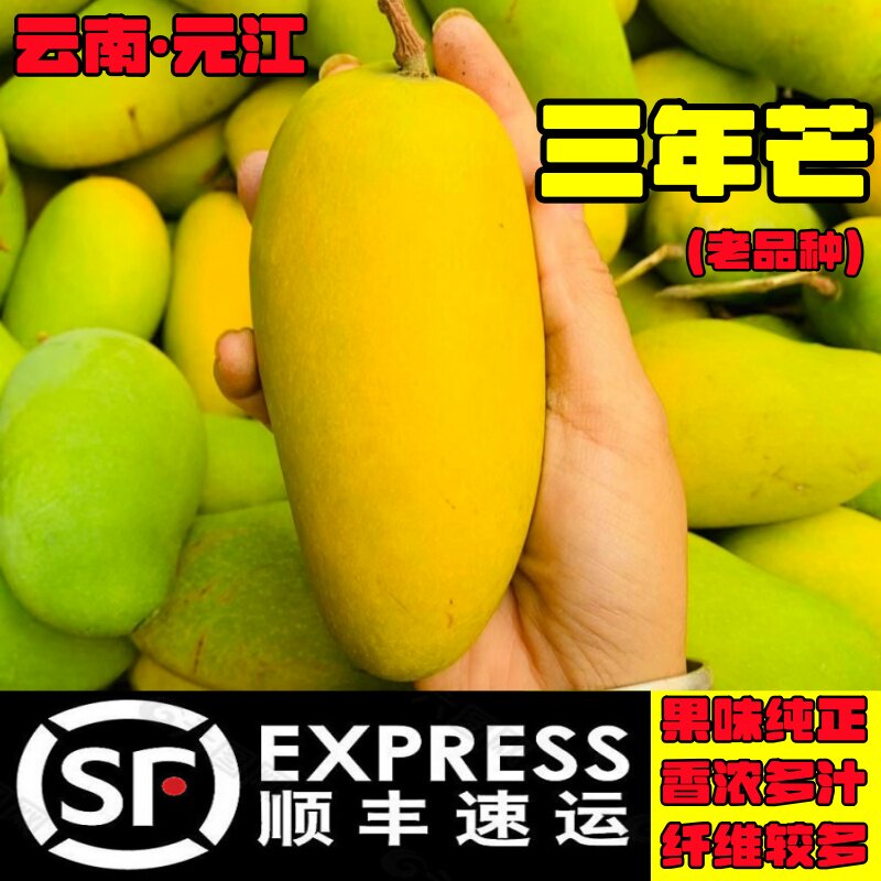 【顺丰快递】农产品云南元江本地树上自然熟三年芒果新鲜水果包邮