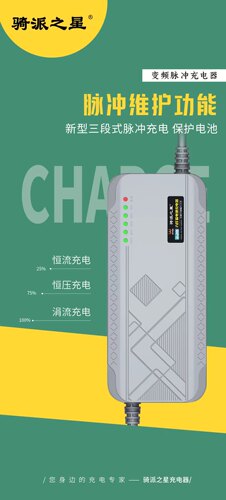 骑派之星电动车电瓶充电器