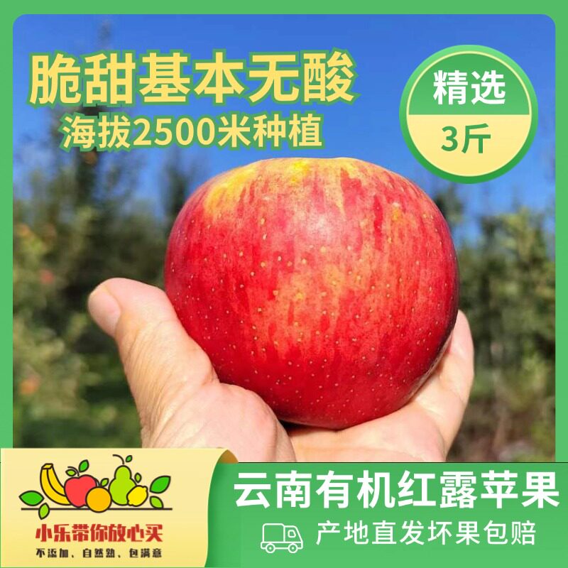 新鲜云南有机红露苹果当季新鲜苹果脆甜基本无酸海拔2500米以上种