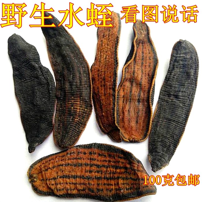 中药材 水蛭 蚂蟥 100g水蛭干另有清水水蛭 蜈蚣 蝎子 白花蛇