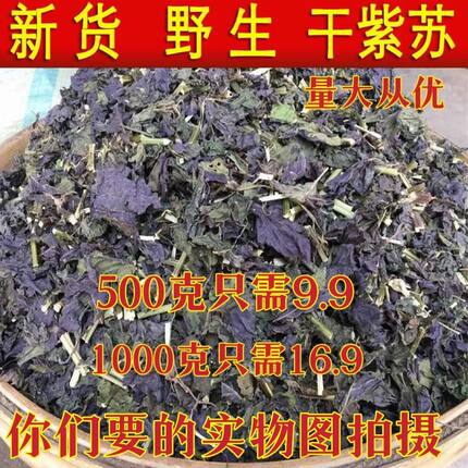 紫苏叶中药材广西野生紫苏叶去腥烧鱼虾蟹香料新鲜干货子苏叶赤苏