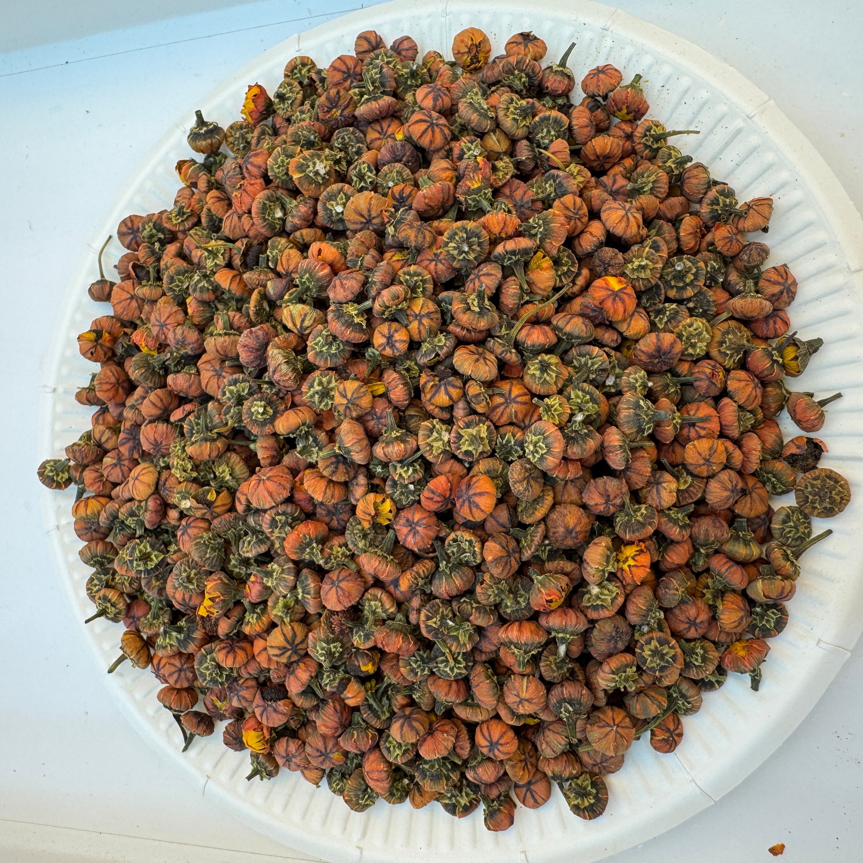 新疆胎菊 100g