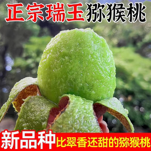 【瑞玉猕猴桃】软硬皆可吃 鲜甜多汁