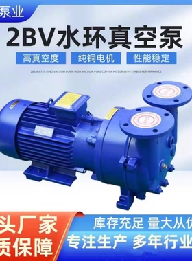 淄博博山2BV系列水环式真空泵工业用高真空水循环真空泵压缩机