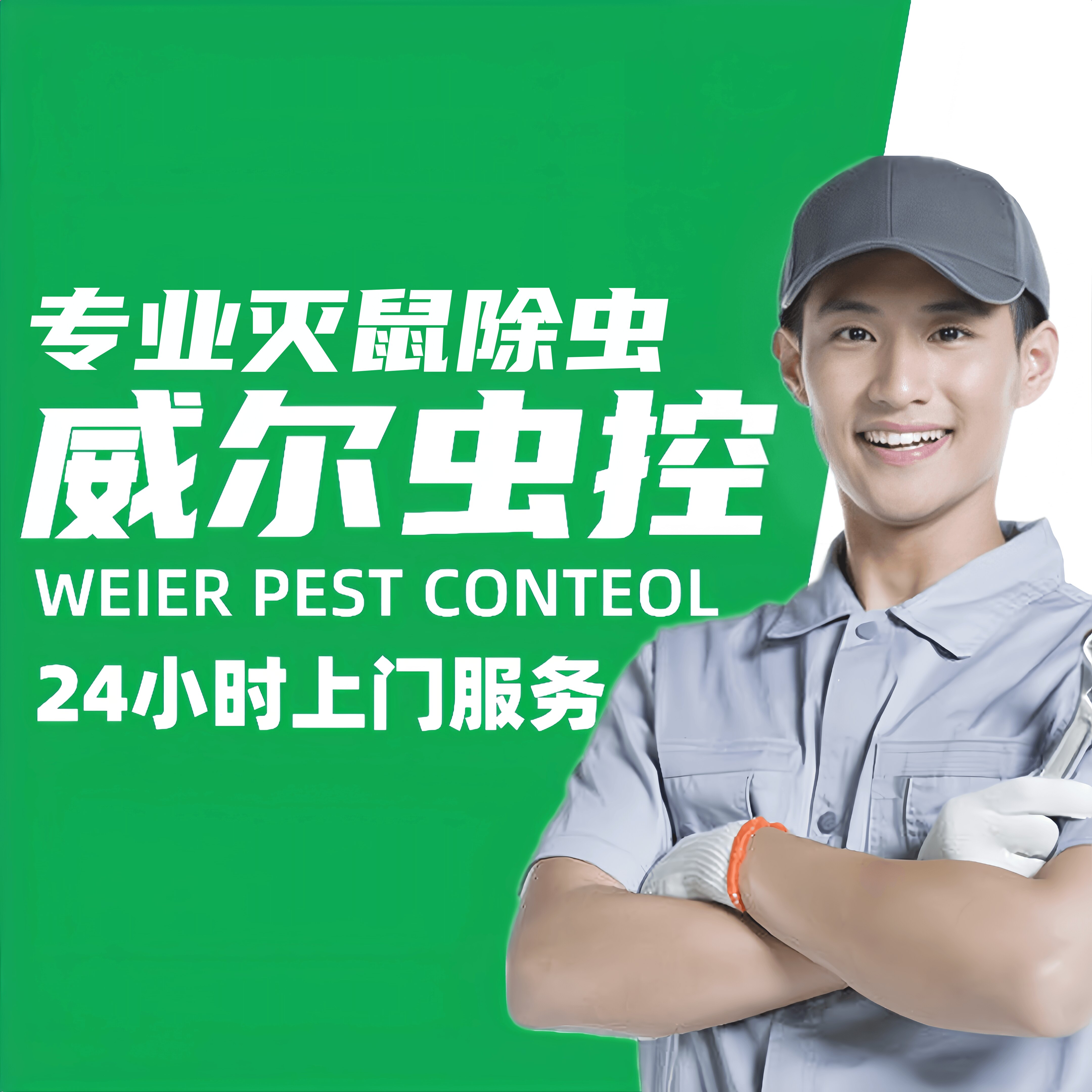 专业上门抓老鼠灭鼠除蟑螂灭白蚁杀跳蚤捕鼠除虫杀虫除四害公司