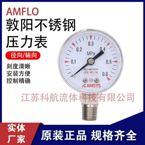 AMFLO不锈钢G20L压力表G20BG20P316L不锈钢压力表25MPA