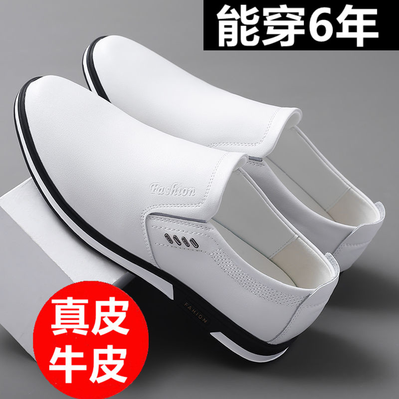 品牌男鞋品牌冬飞駝男休闲鞋透气皮鞋款小白鞋真皮豆豆鞋牛皮鞋