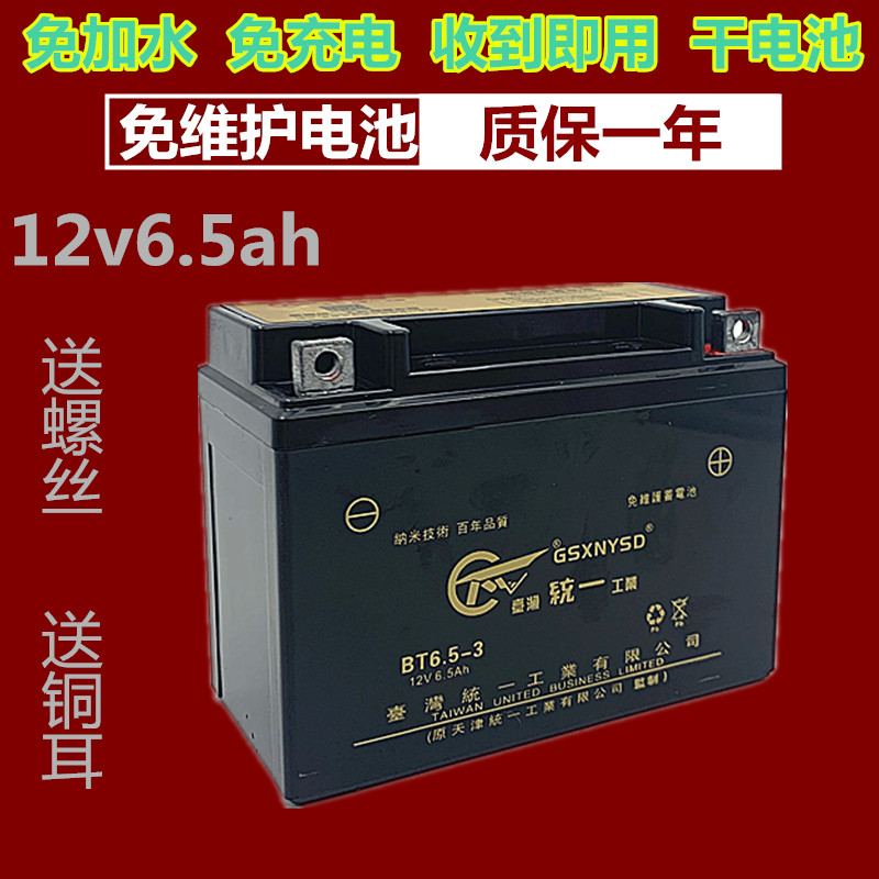 统一12N6.5摩托车电瓶12V6.5ah蓄电池宗申天马珠江125男装干电池