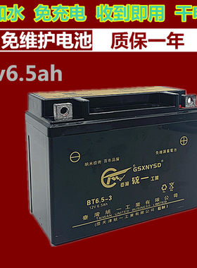 统一摩托车电瓶12N6.512V6.5