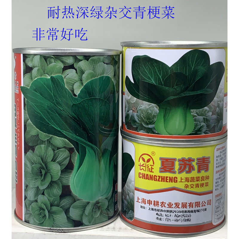 绿翡翠夏苏青青梗菜种籽高产耐热蔬菜种子/种苗