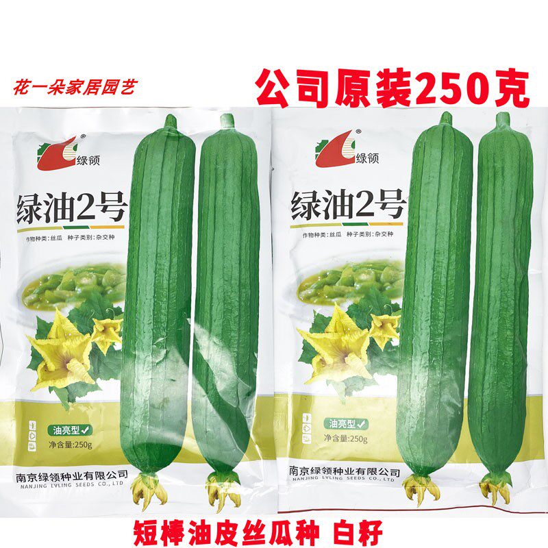 绿领绿油2号短棒丝瓜种子高产