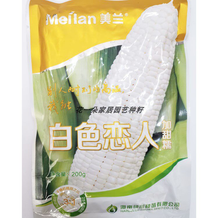 美兰玉米白色恋人白甜糯玉米种籽高产耐高温大棒甜加糯白玉米种子