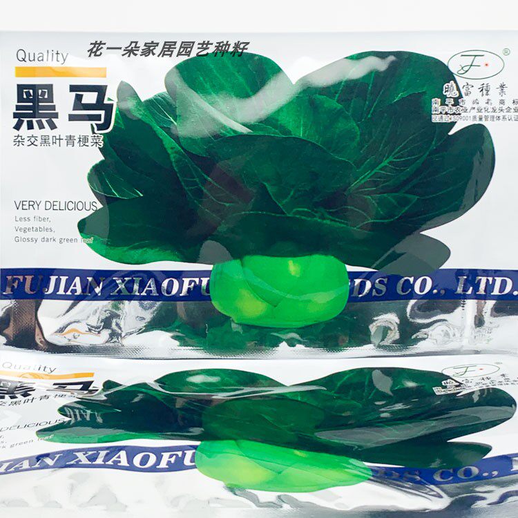 晓富黑马墨玉黑叶杂交青梗菜种籽高产耐寒矮脚黑亮黑菜种子