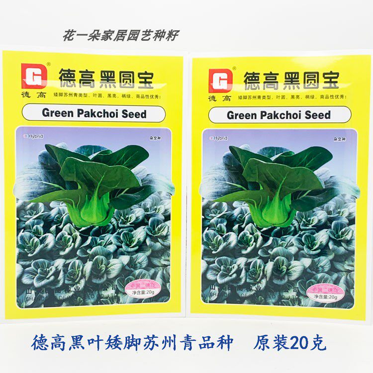 德高黑圆宝黑叶矮脚苏州青青菜种籽高产耐寒特矮油亮杂交黑菜种子