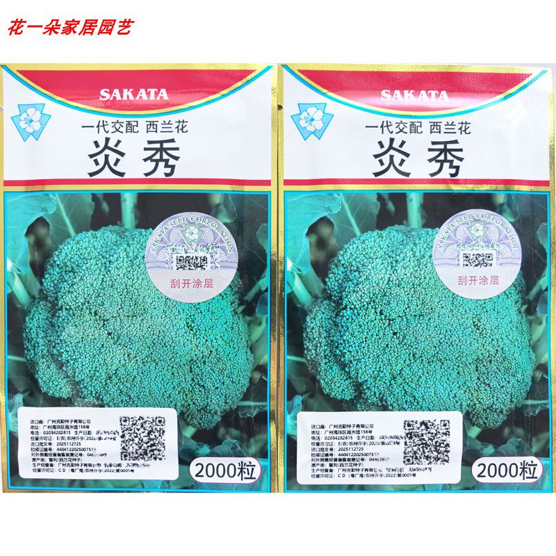 炎秀杂交西兰花种子高产耐热中熟