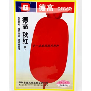 德高秋红世纪红萝卜种籽高产耐热春秋播红皮白肉萝卜种子