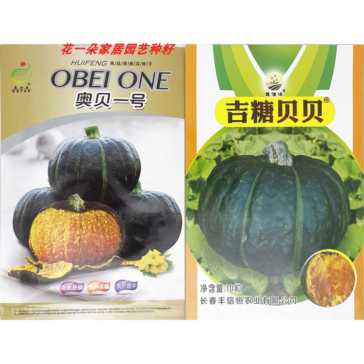 奥士亚贝贝南瓜种子粉面