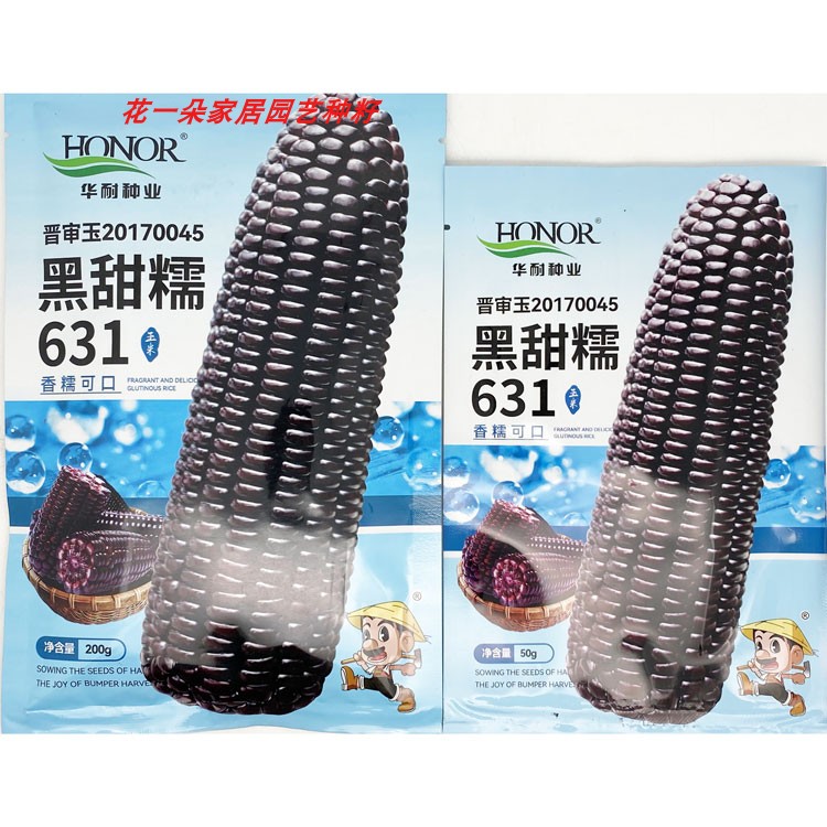 华耐黑紫甜糯玉米种大棒