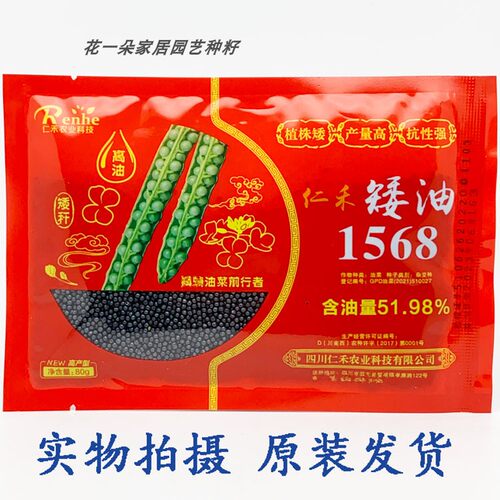 仁禾矮油1568油菜种子高油