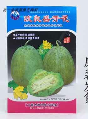 浪潮酥脆甜瓜种糖度高