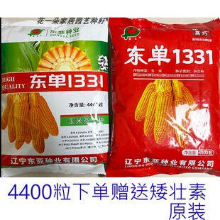 辽宁东亚东单1331饲料玉米种籽高产抗病大棒粮饲用玉米种子4400粒