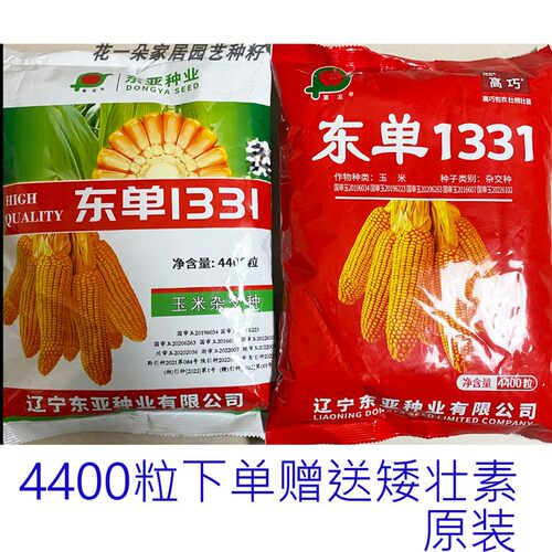 东亚东单1331玉米种子大棒