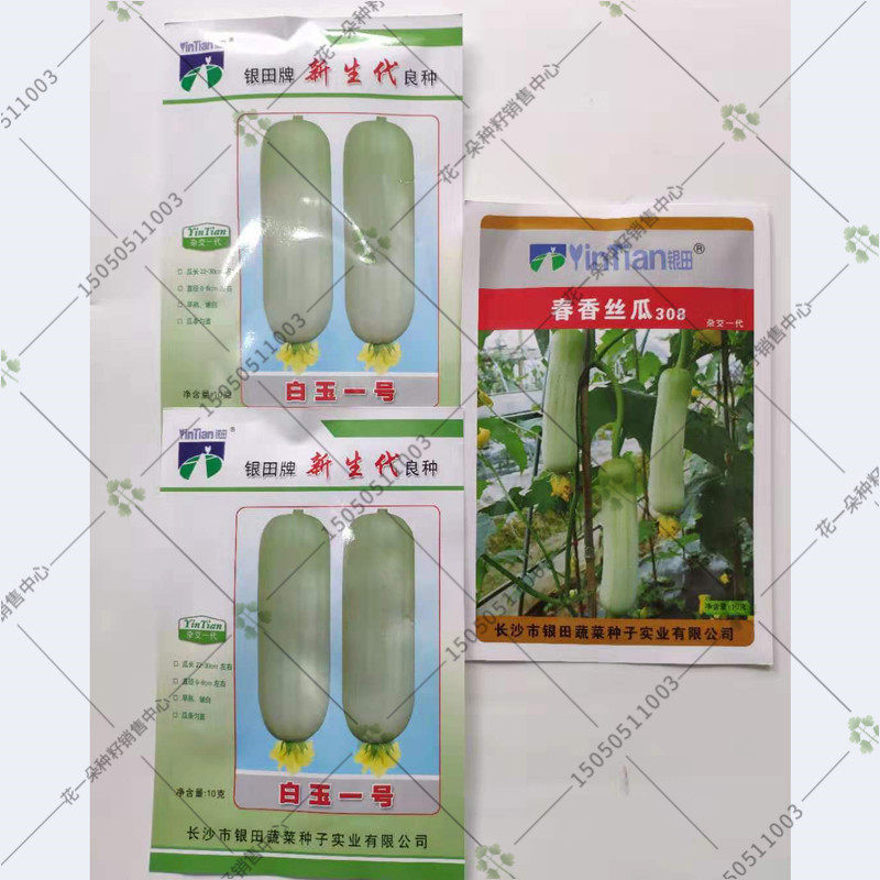 新生代白玉一号白丝瓜种籽早熟高产四季播农家白玉短棒香丝瓜种子