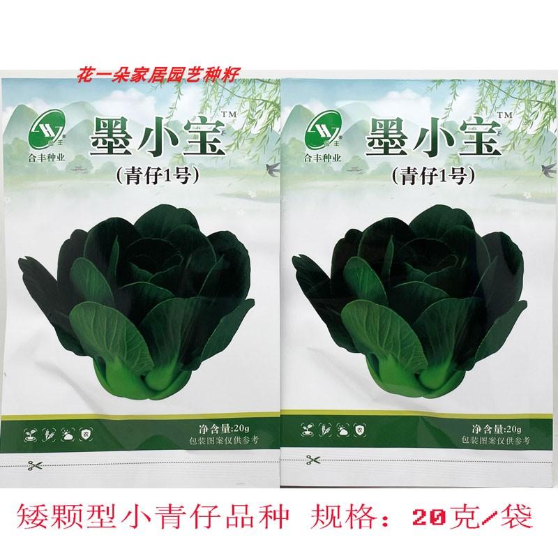 束腰大头矮脚青菜种合丰