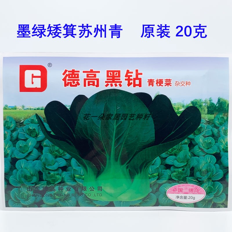 德高黑钻黑叶苏州青青菜种籽高产耐寒四季播盆栽矮箕油亮黑菜种子