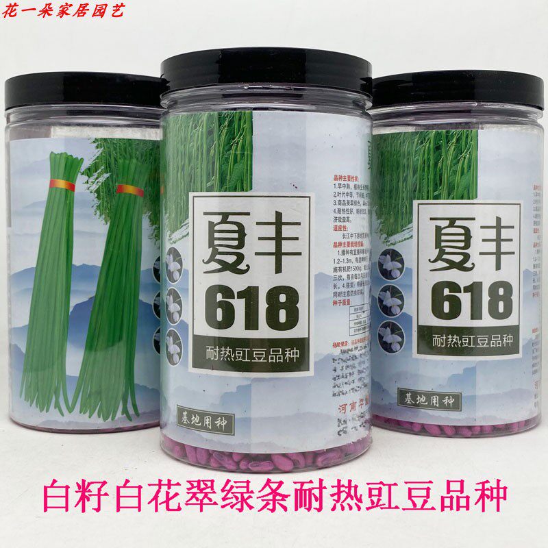 夏丰618豇豆种籽高产翠绿条